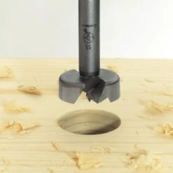 LUX Forstner-Bohrer 10 Mm -Berühmter Werkzeug Geschäft 415316 picture1